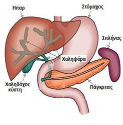 Χειρουργική Χοληφόρων Ήπατος